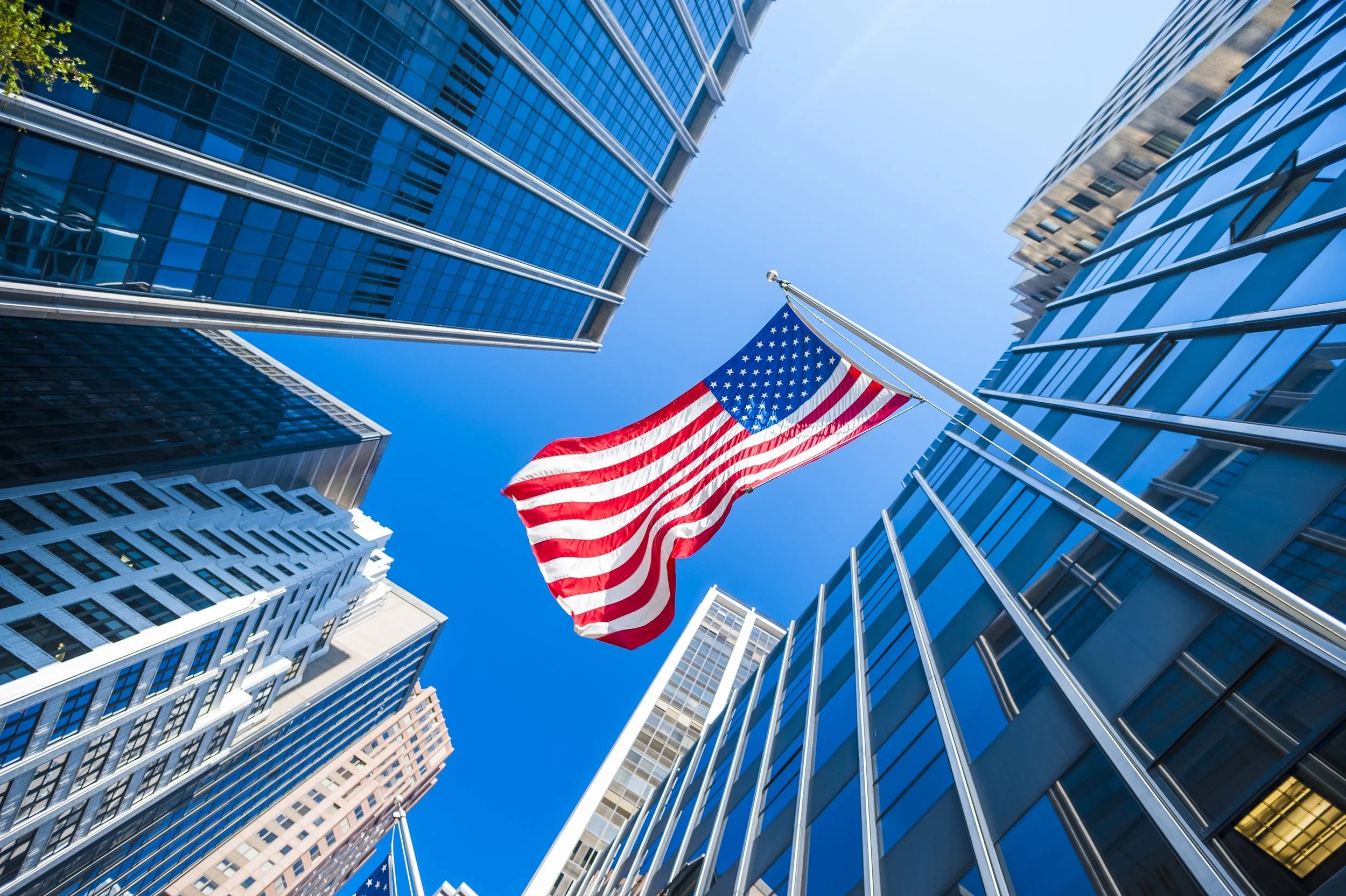 Understanding Business Formation in the U.S.: What New EntrepreneursNeed to Know